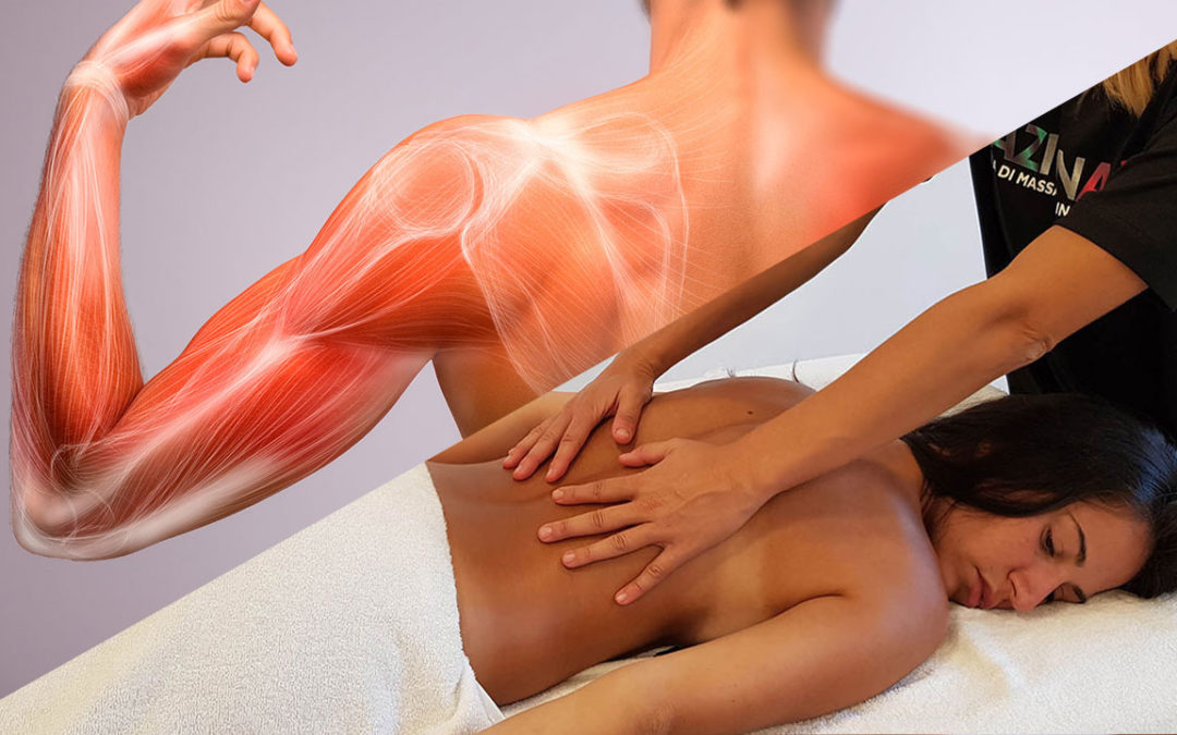 VUOI FREQUENTARE UN CORSO DI MASSAGGIO? PREPARATI SCOPRENDO I TESSUTI DEL CORPO UMANO