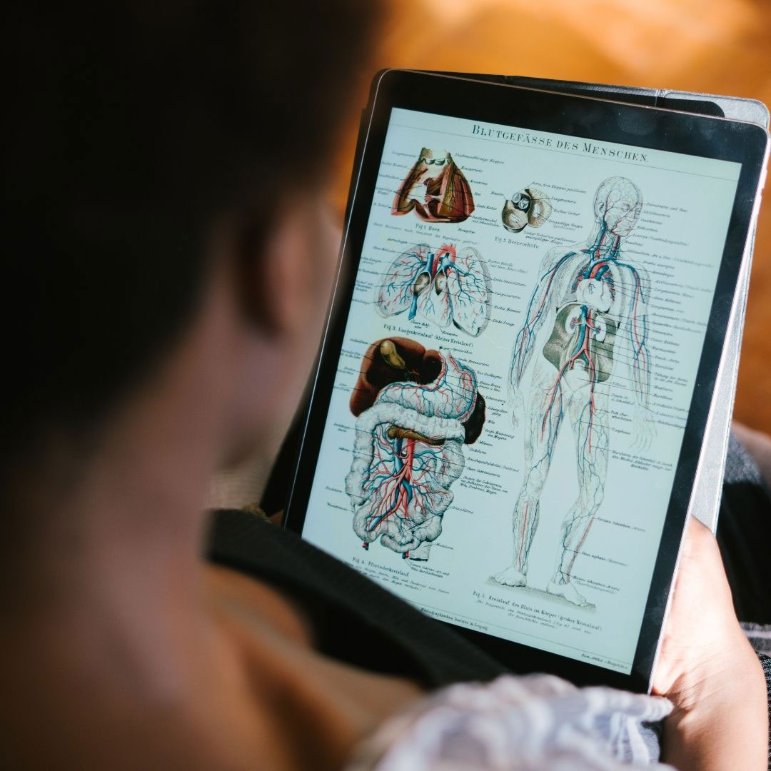 diploma-alta-formazione-basi-corso-anatomia-massaggiobase-svedese-classico-nazionale-scuola-massaggi diploma alta formazione corso anatomia massaggio base classico svedese Nazionale®