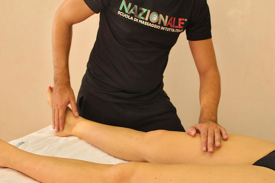 Corso Anatomia Del Massaggio Nazionale
